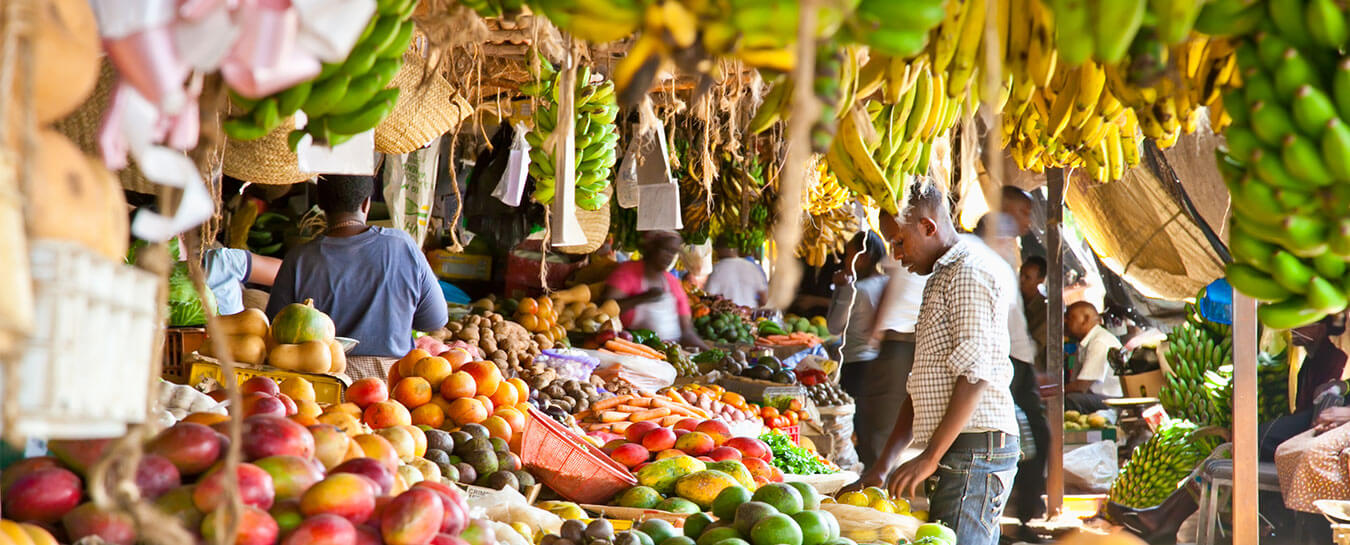 Fresh produce small holders EAGAP certification