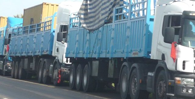 Logistics firms to hold talks in August to discuss bottlenecks
