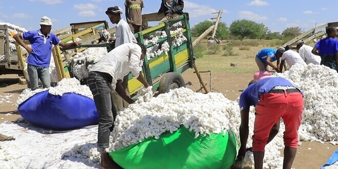 Changamoto soko la mazao ya wakulima lapatiwa muarobaini