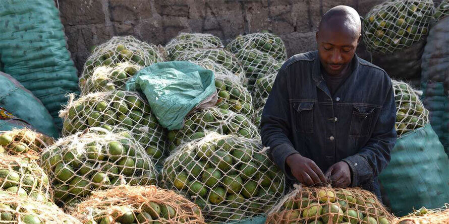 LETTERS: Route to logistics that grows intra-Africa trade