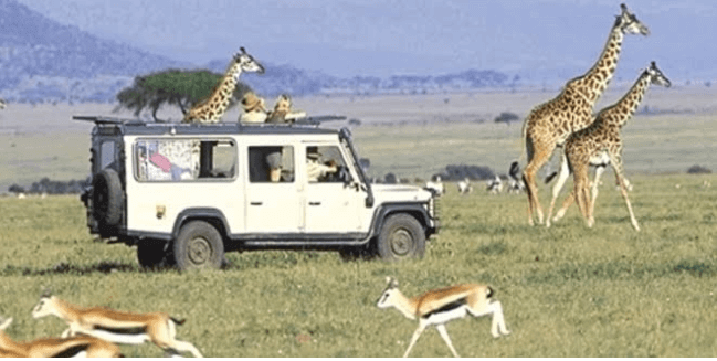 Building upon key drivers of tourism growth in Africa