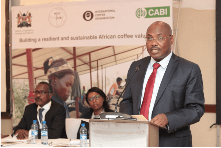 Stakeholders launch Ksh.95B project to boost Africa’s coffee industry