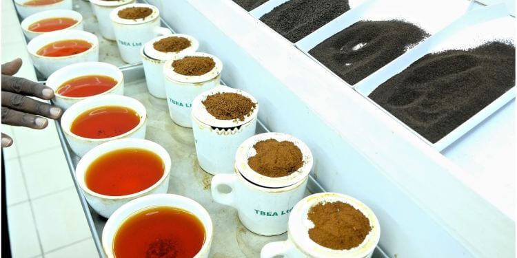 Mombasa Tea Auction Digitization Underway