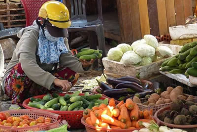 COVID-19 and food security in vulnerable countries