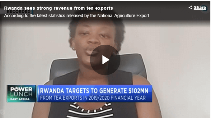 Rwanda sees strong revenue from tea exports
