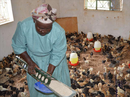 Poultry farmers in Kenya decry Uganda, Tanzania unfair trade
