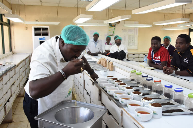 Tea prices fall to the lowest this year at Mombasa Auction