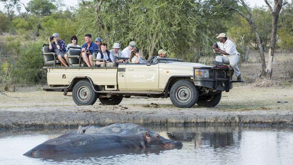 Africa faces a GDP loss of $145b as tourism hit hardest by pandemic