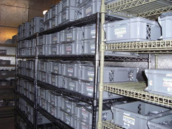 Africa loses $670m annually in rejected exports
