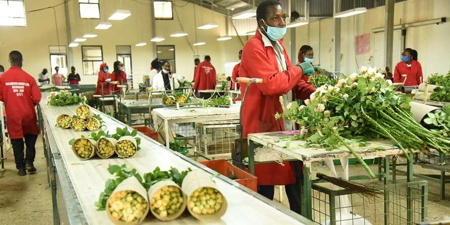 Why exporters favour exclusive trade deal between Kenya, UK