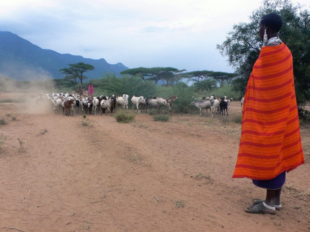 Building resilience in Africa’s food supply chain after Covid-19