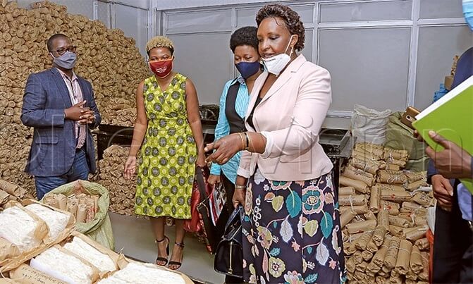 Cotton export revenue set to increase