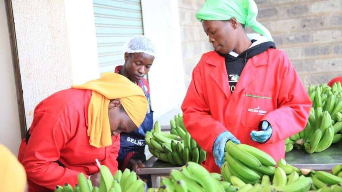 Kenyan fresh produce nets Sh235m at Italian expo