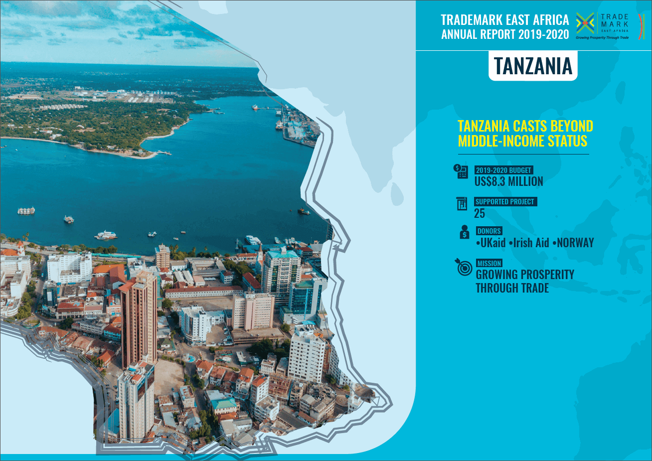 Tanzania Annual Report 2019 -2020