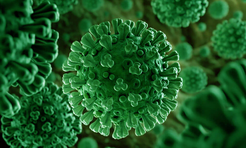Nature and COVID-19: The pandemic, the environment, and the way ahead