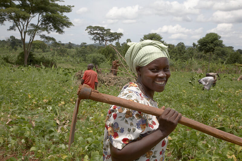 FEATURE: The potential of climate change adaptation for agricultural enterprises
