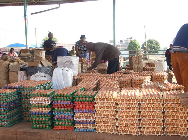 EAC single market good for consumer