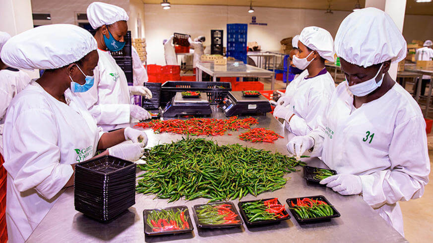 How can Rwanda achieve its $1bn target in agric exports?