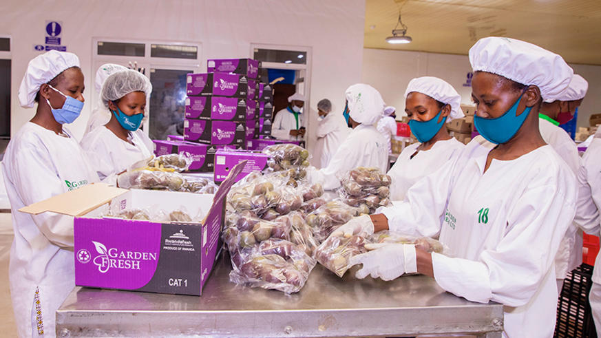 Local, regional exports recover after slump