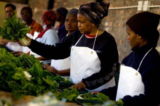 Comesa launches campaign to reach 50 Million women in business