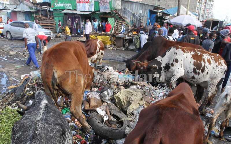 New Animal Health Strategy to Promote African Animal Resource Management