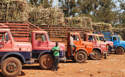 Barriers to trade a great danger to food security in the region