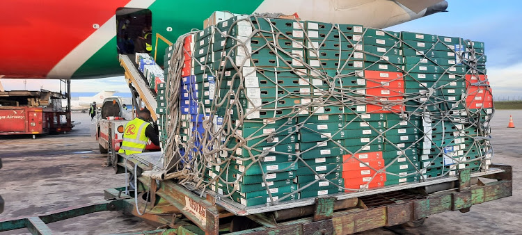 Budget committee calls for study on export markets
