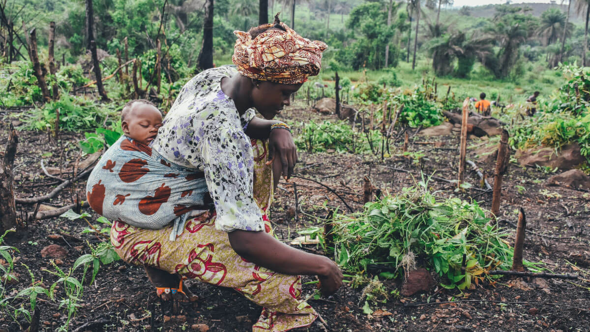 Gender Equality In Poorest Nations Hinges On Post-Pandemic Policy Choices