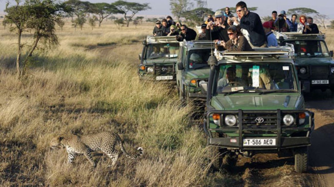 East Africa: New Web Portal to Boost Tourism in East Africa