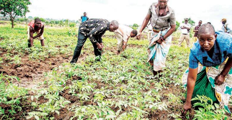 Identify new GDP growth drivers—World Bank