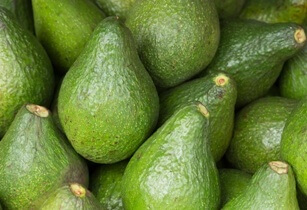 NAFSPA helps farmers in Kenya to export avocado to Europe