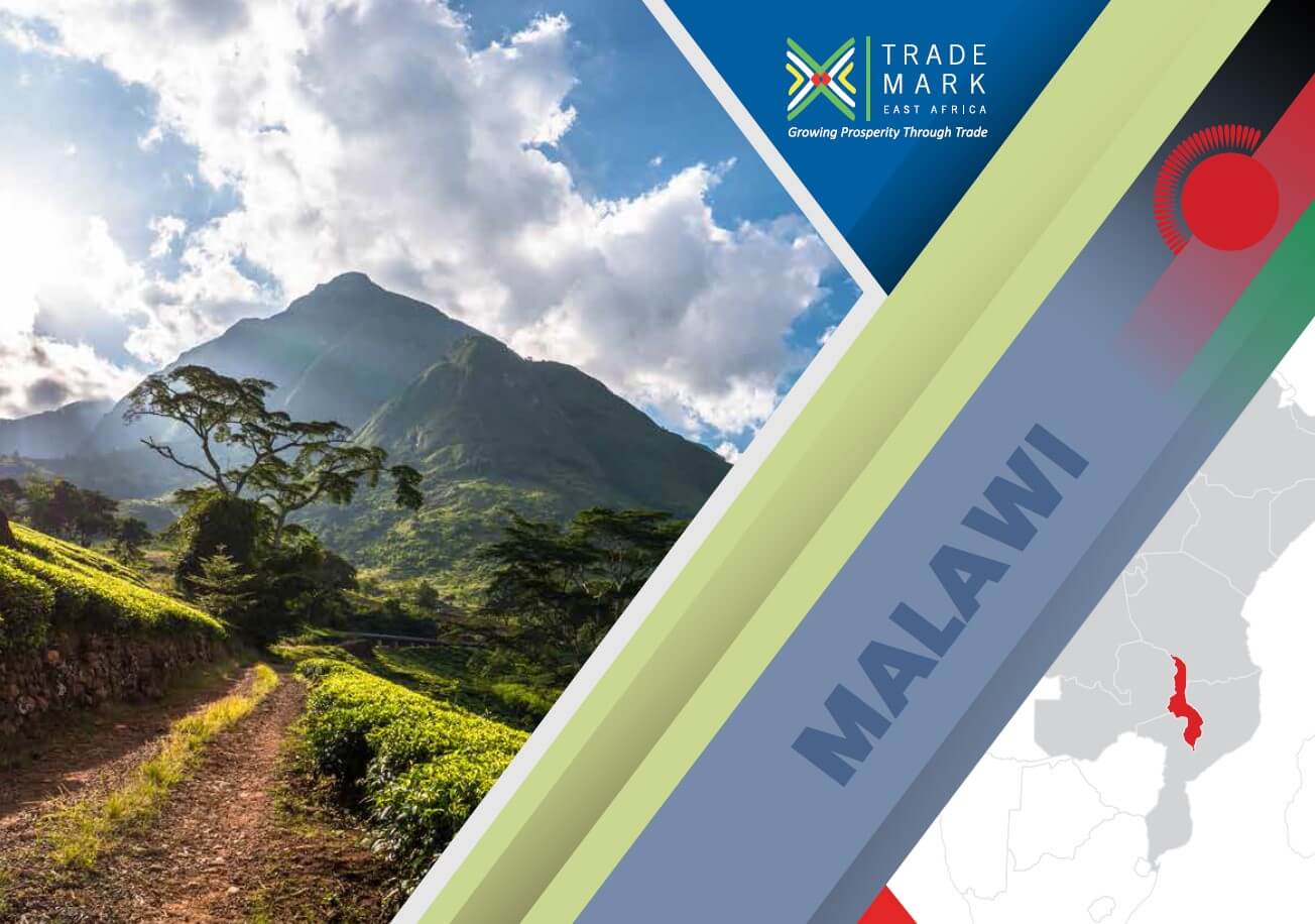 Malawi Annual Report 2020/21