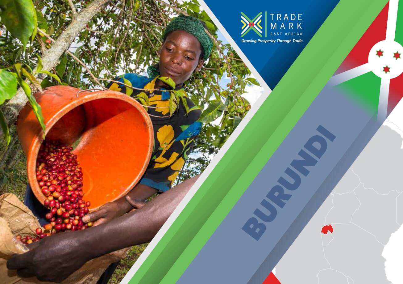 Burundi Annual Report 2020/21