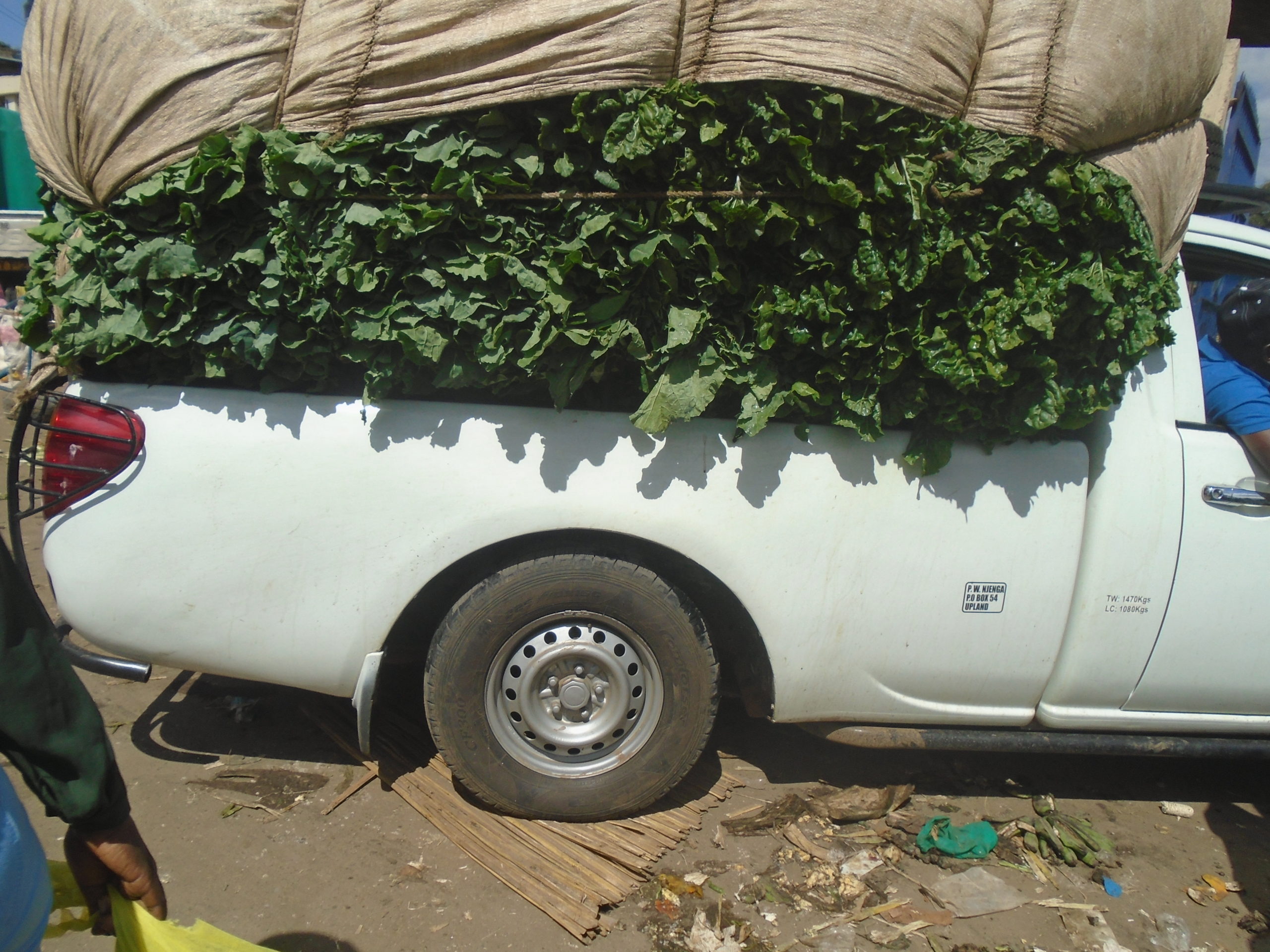 Public Health  Experts in Kenya Confirm Food Safety Policy