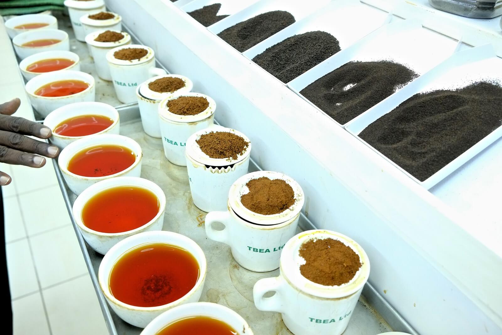Automation of the World’s Biggest Black Tea Auction for Export delivers results one year on