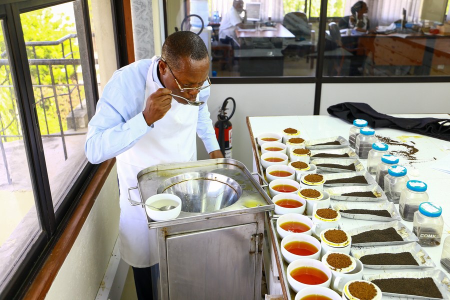 Modern technology key to boosting Kenya’s tea output: experts