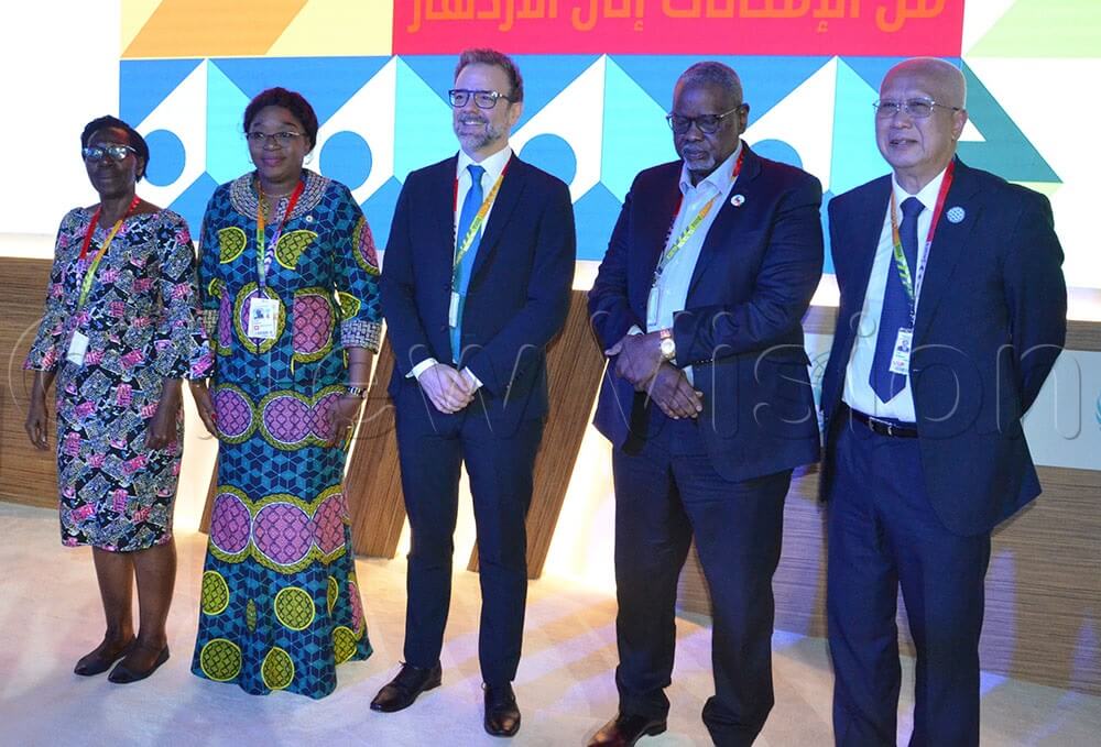 Ugandan expert differs on food import strategy at Doha summit