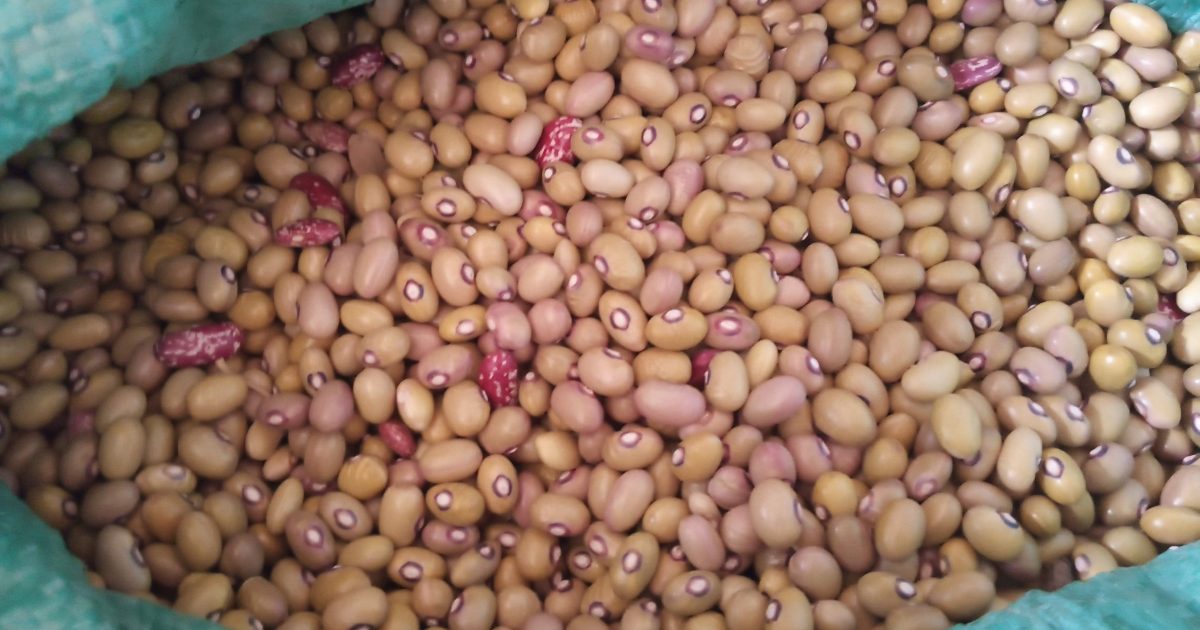 EAC Grain Traders Meet