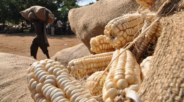 Food Safety Day: Civil Society urges Govt to protect Ugandans