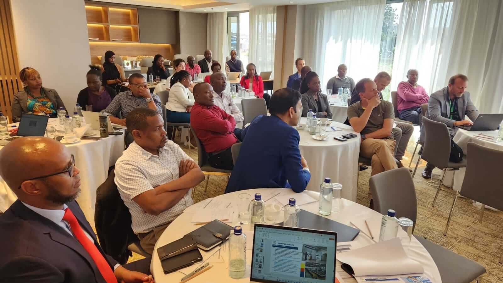 Navigating a Sea Change: Kenya's Horticultural Exports Forge Ahead