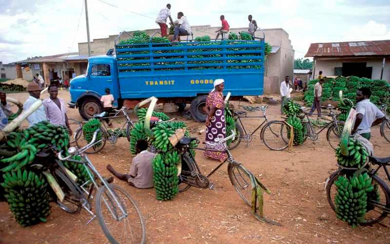 African Trade Agreements Should Include Environmental Provisions To Drive Sustainable Agricultural Growth, Finds New Analysis