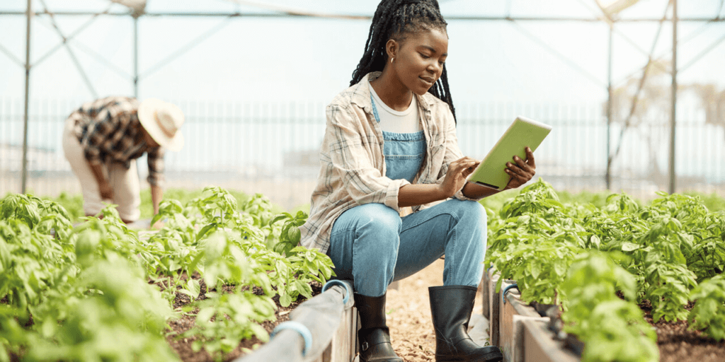 Strategies for Maximising the ROI of Digital Transformation Projects in Africa