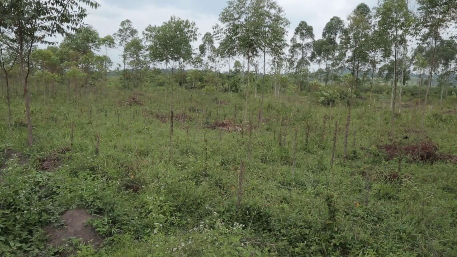 Amuru district set to lease over 250 acres of land