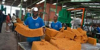 Fixing local value chains key to transforming food systems