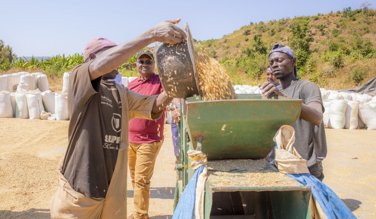 ACFTA: Leveraging continental integration for food security objectives
