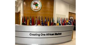 Delay on tariff offers to affect AfCFTA implementation