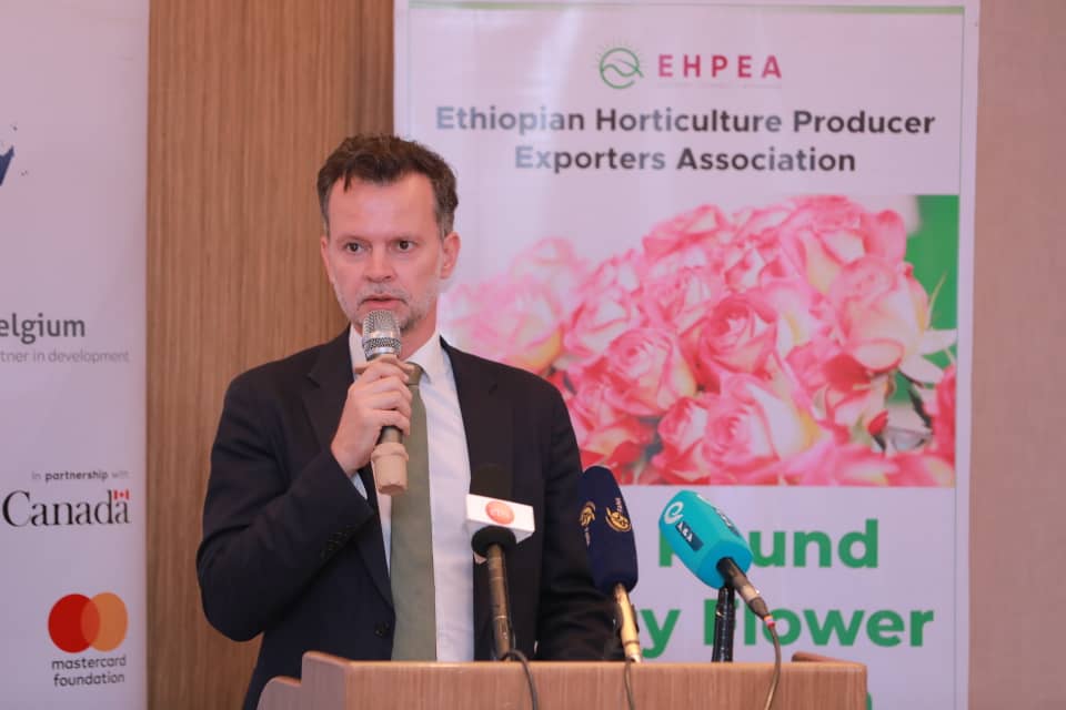 The EU delegation for Djibouti and IGAD, Eloise Roux speaking at the event